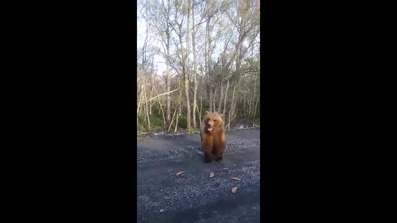 VIDEO-2020-05-28-09-07-12.mp4