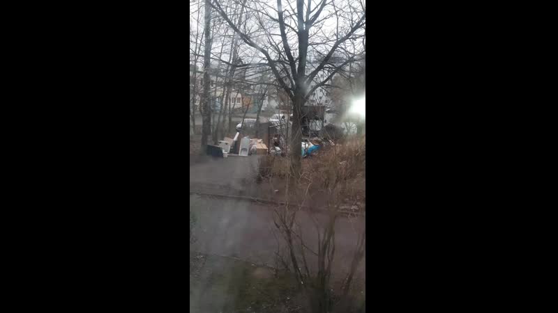 20201204_113044.mp4