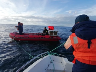 баренцево море. треска баренцево море мурманск. морская рыбалка треска. лов трески в белом море. запретили ловлю рыбы в баренцевом море.