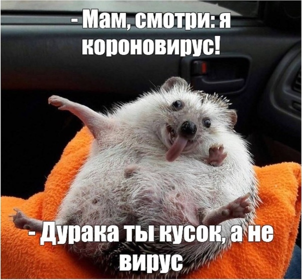 Иду я сегодня по улице, и вдруг откуда-то сверху, в полуметре от меня, шлепается на асфальт здоровенный пакет с водой Поднимаю голову: на балконе шестого этажа трое довольных детей, лет