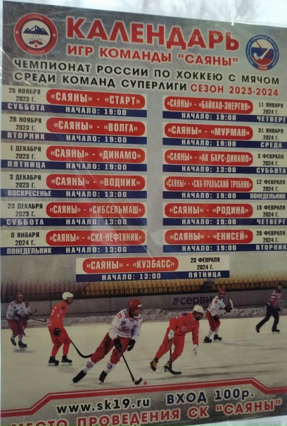 Саяны" завершили год на первой строчке турнирной таблицы в своей подгруппе - Нов
