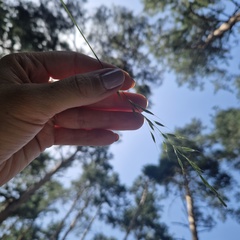Ирина Гордиенко : профиль, фото, статус - ВКонтакте